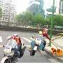 抢夺宠物狗向市中心蔓延（图） 动物世界