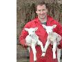 英国培育出免剪毛绵羊：春季自动脱羊毛（图） 动物世界