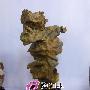潮汕奇石艺术欣赏（147）