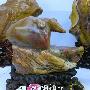 潮汕奇石艺术欣赏（162）