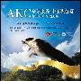 AKC全球服务-中国积分赛 第三届广东地方展(2010-04-11) 动物世界