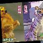 《快乐大本营》被批虐狗（图） 动物世界
