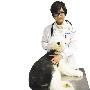 潮男从小爱宠物 22岁当上宠物主治医师（图） 动物世界
