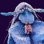 百万倍下的昆虫照令人毛骨悚然（图） 动物世界