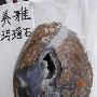潮汕奇石艺术欣赏（207）