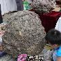 潮汕奇石艺术欣赏（215）