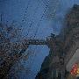 宠物狗火中唤醒梦中主人 （图） 动物世界