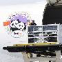 大熊猫“泰山”启程回国 （图） 动物世界