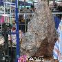 潮汕奇石艺术欣赏（246）