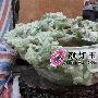 潮汕奇石艺术欣赏（248）