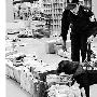 小小缉毒犬立下大功勋（图） 动物世界
