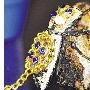 墨西哥游客携带镶满珠宝的活甲虫登机（图） 动物世界