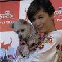 麻理惠带爱犬参加宠物成人式（图） 动物世界