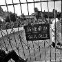 市民领狗要排队 记者采访犬只留检所被拒门外（图） 动物世界