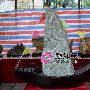 潮汕奇石艺术欣赏（293）