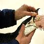 美国：救治癌症企鹅（图） 动物世界