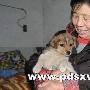 七旬老人8年收養流浪貓狗近30只（圖） 動物世界