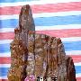 潮汕奇石艺术欣赏（304）