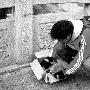 不哭的小狗惹人怜（图） 动物世界