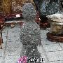 潮汕奇石艺术欣赏（319）