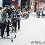 南丹“神牛” 牛主人:100万也不卖（图） 动物世界