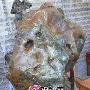 潮汕奇石艺术欣赏（335）