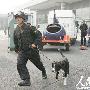 力保全运会安全 武警山东总队实兵实装演练（图） 动物世界