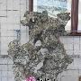 潮汕奇石艺术欣赏（346）