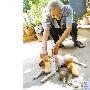 狗妈爱“幺儿” 天天给两只小猫喂奶（图） 动物世界