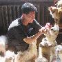 的哥17年收養400只流浪貓狗（圖） 動物世界