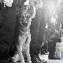 20名“安保卫士”携警犬赴京（图） 动物世界