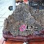 潮汕奇石艺术欣赏（382）
