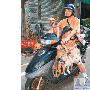 1人6狗 骑摩托车兜风去 （图） 动物世界