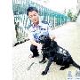 警犬“贝塔”:国庆安保（图） 动物世界