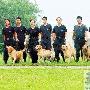 津门十警犬进京“护国庆”（图） 动物世界