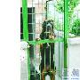 探访济南犬类“留检所”（图） 动物世界