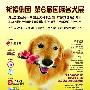 广州站积分赛 11月7日-8日 动物世界