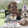 小猎犬过26岁生日 成全球最长寿的狗（图） 动物世界