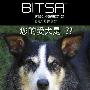 GTG最新推出犬类血统成分鉴定BITSA服务 动物世界