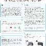 柯利犬眼部异常--脉络膜发育不全(CEACH)说明书 动物世界