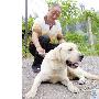 农民培育导盲犬（图） 动物世界
