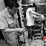 小蚂蚁跟人“抢床睡”（图） 动物世界