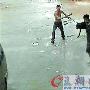 万元爱犬清晨被强抢（图） 动物世界