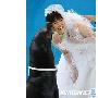 水族馆浪漫婚礼 白海豚当伴娘（图） 动物世界