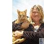 英国妇女在电视节目中找到自家走失小猫（图） 动物世界