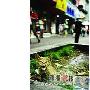 谁来救这只断腿小猫（图） 动物世界