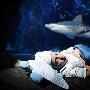 “可怜”孩童伦敦水族馆过夜（图） 动物世界
