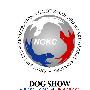 NGKC2009年下半年赛事计划 动物世界