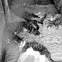 救赡基地是病残猫狗之家（图） 动物世界