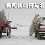 不是拍广告 看司机与北极熊躲猫猫（图） 动物世界